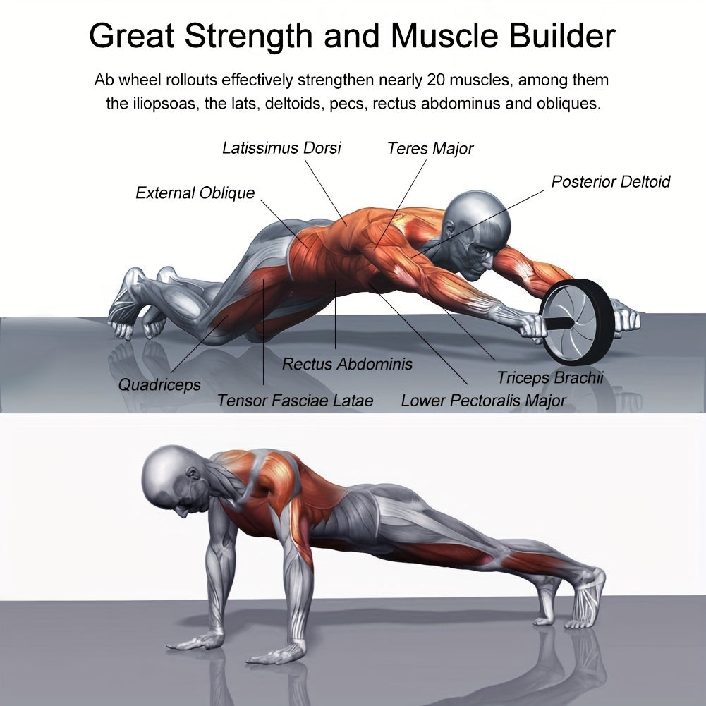 Abdominal Wheel – Tummy Tuck & Muscle Builder